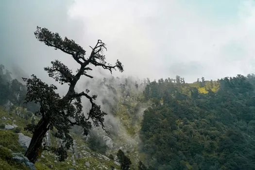 Fortes pluies au Himachal Pradesh, soulagement de la chaleur