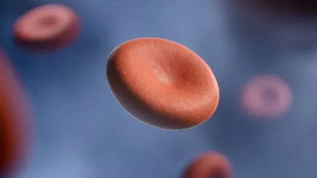L'hydroxyurée réduit le risque de décès drépanocytaire sur 10 ans