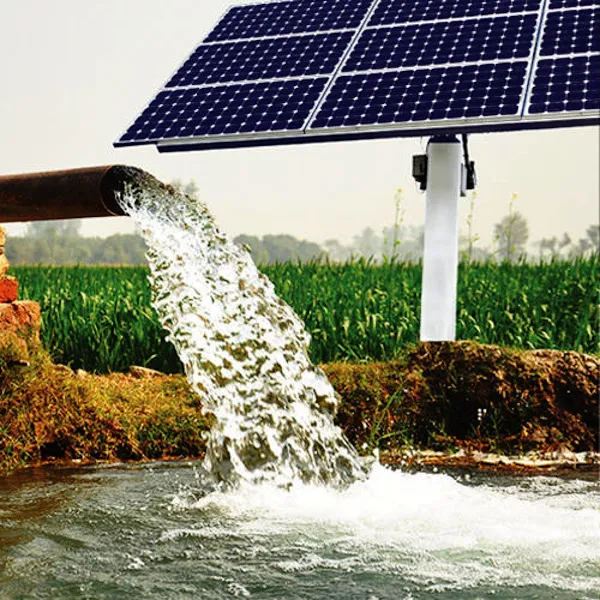Le modèle solaire agricole indien vise à renforcer la sécurité alimentaire en Afrique