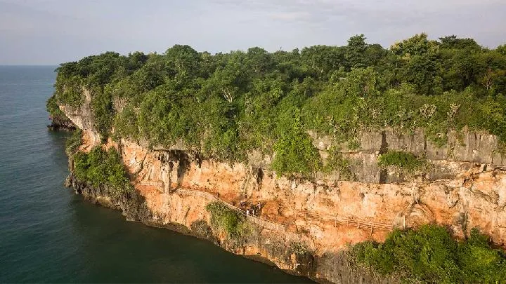 La disparition du vert à Java : une réflexion sur la déforestation