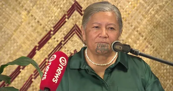 Kapa-Kingi lance le parti Te Tai Tokerau