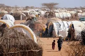 La population réfugiée du Kenya atteint 835 793 en 2025