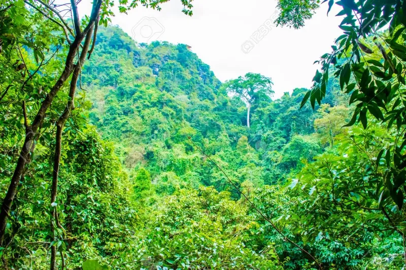 Des passagers kidnappés s'évadent alors que les bandits dorment dans la forêt de Kogi