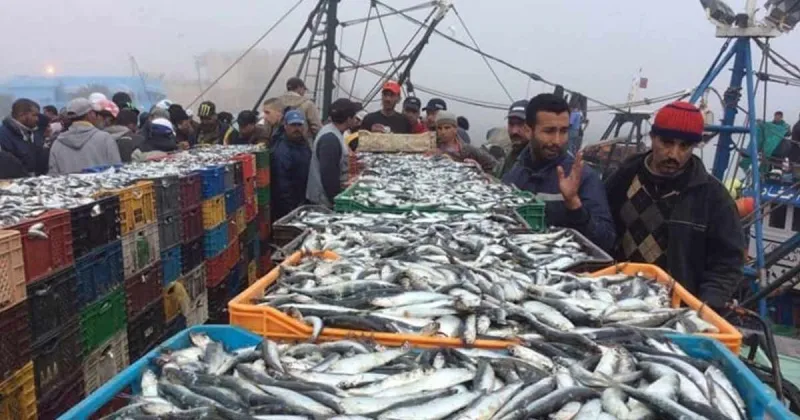 Débarquements de pêche en hausse de 8% à Laâyoune