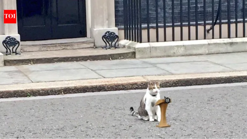 Larry le chat reste alors que le PM Starmer démissionne