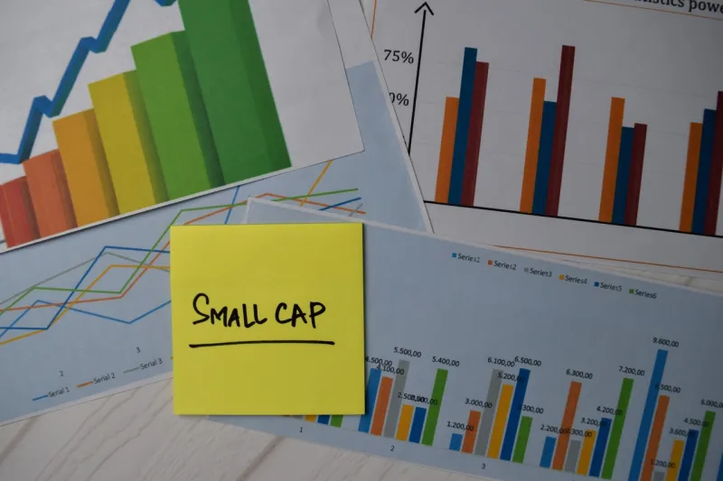 Commentaire de Lazard US Small Cap Equity Select T1 2026