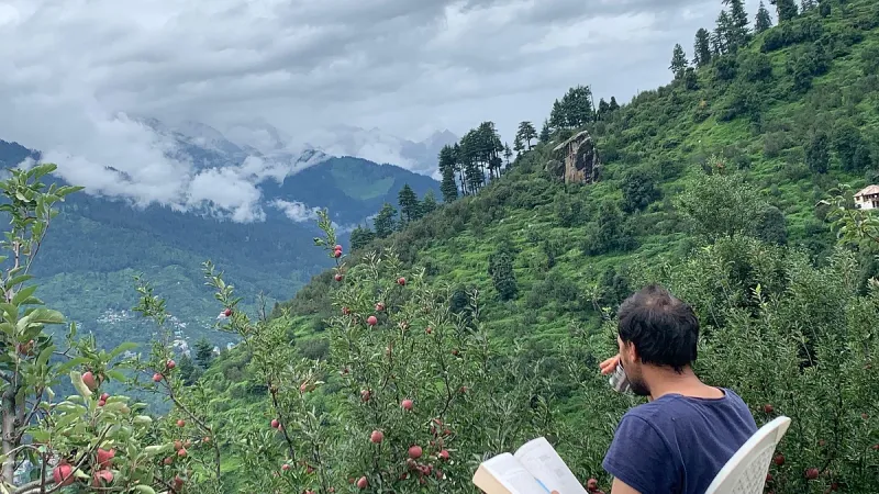 Lost In Woods : Un gîte himalayen pour la vie lente