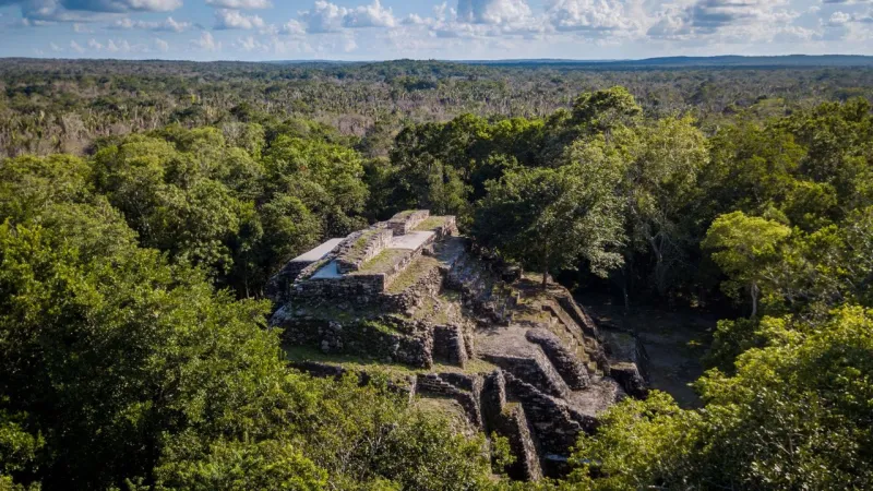 Cité maya perdue découverte dans la jungle