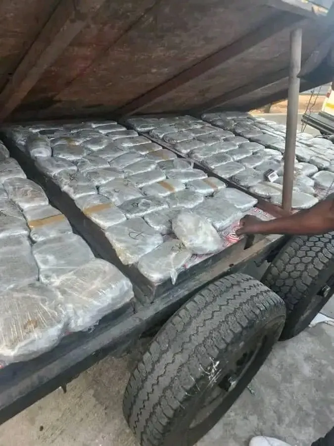 Homme arrêté pour tentative de trafic de drogue à Beitbridge