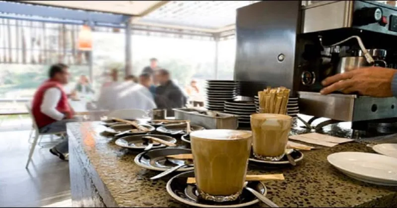 Le café marocain : de la graine au rituel social
