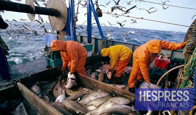 ONP : plus de 3,11 MMDH de produits de la pêche commercialisés à fin mars