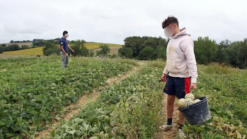 Saisonniers marocains : procès pour fraude de 800 000 € le 19 mai
