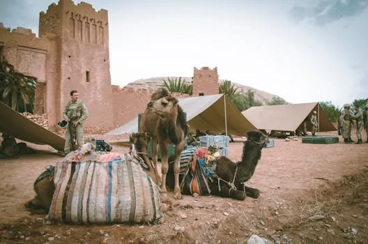 Maroc 2e en Afrique pour le budget militaire 2025
