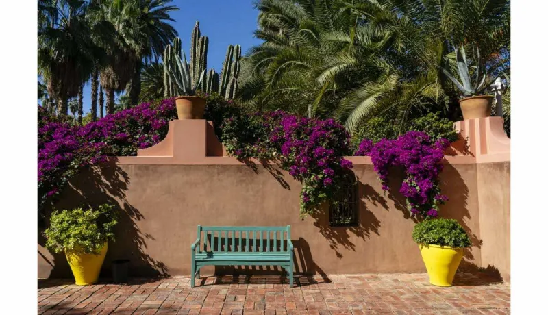 Maroc : Séjour à 600 €, une arnaque qui a dépouillé deux amies à Marrakech