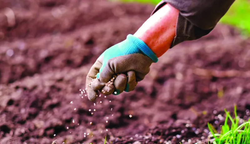 Morocco, India Strengthen Agronomic Research Ties