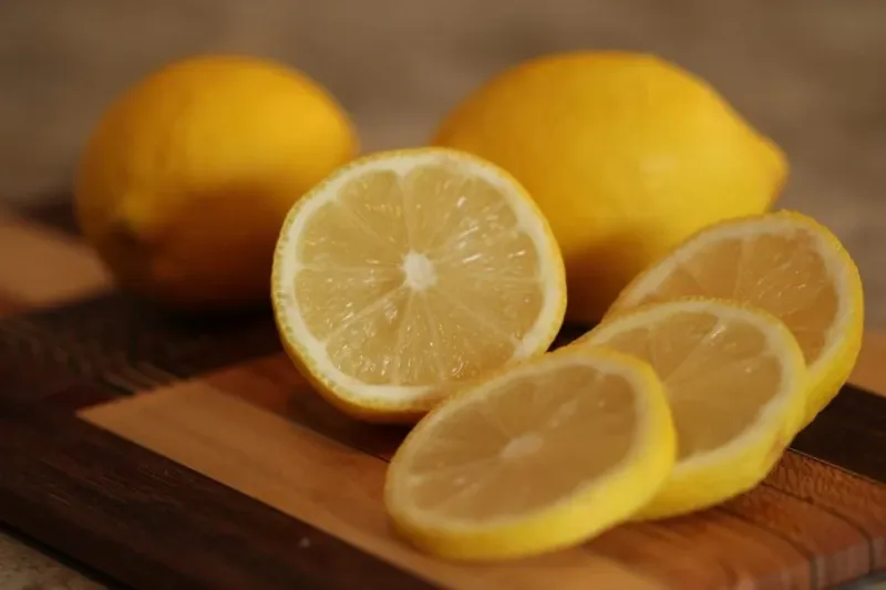 Exportations de citrons marocains en hausse, Russie premier acheteur