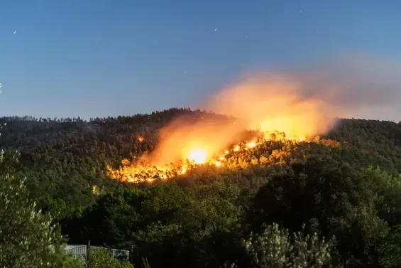 Maroc : Plus d'incendies, moins de surfaces brûlées en 2026