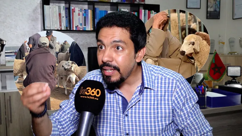 Un député marocain interroge sur les prix des moutons pour l'Aïd
