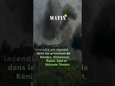 Maroc en alerte aux feux de forêt avec la hausse des températures