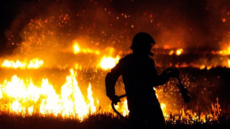 Maroc : 418 incendies de forêt en 2025, plus faible bilan en 20 ans