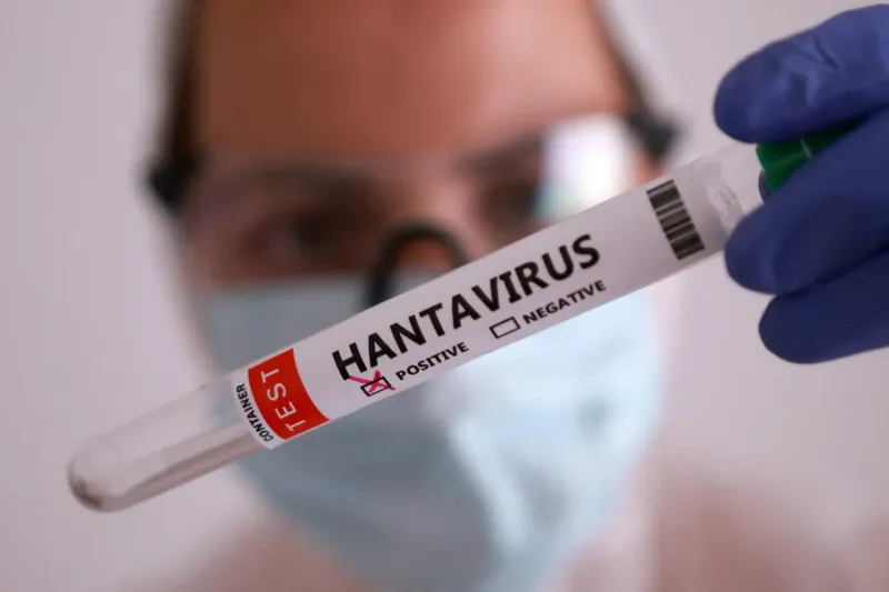 Le Maroc renforce la prévention contre le Hantavirus dans le Nord