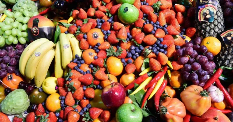 Le Maroc en tête des importations espagnoles de fruits et légumes