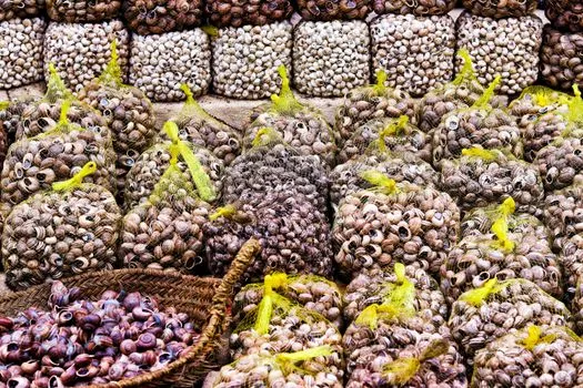 Le Maroc en tête des exportations turques vers l'Afrique au S1 2026