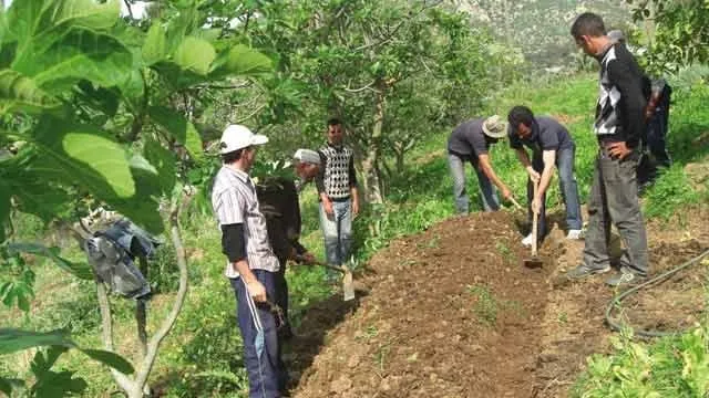 L'agriculture marocaine en forte reprise en 2026
