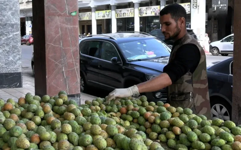 La figue de barbarie marocaine devient un produit de luxe