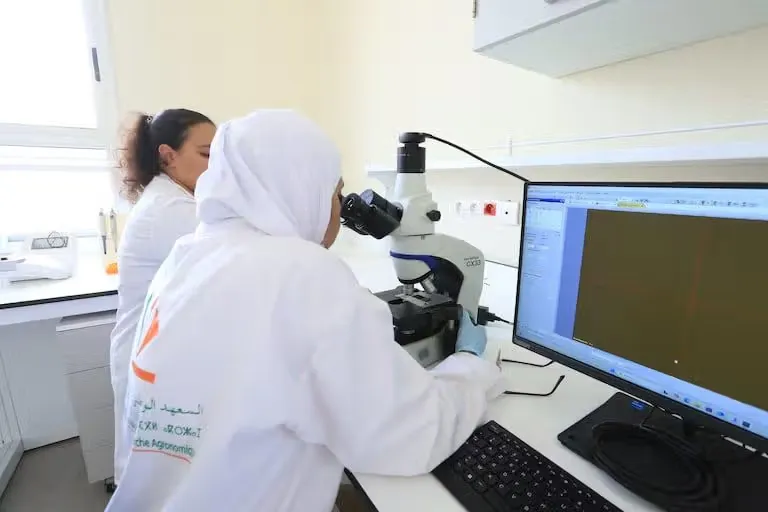 PRIMA : 28 M€ investis, la recherche marocaine progresse