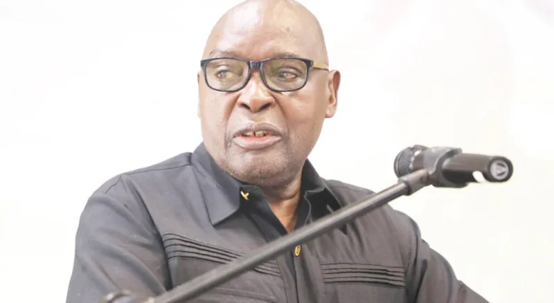 Un PDG namibien accuse un ministre d'avoir forcé sa suspension