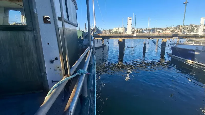 Conseil de Napier saisit une maison-bateau, un pêcheur dit que l'homme a perdu son 'sanctuaire'
