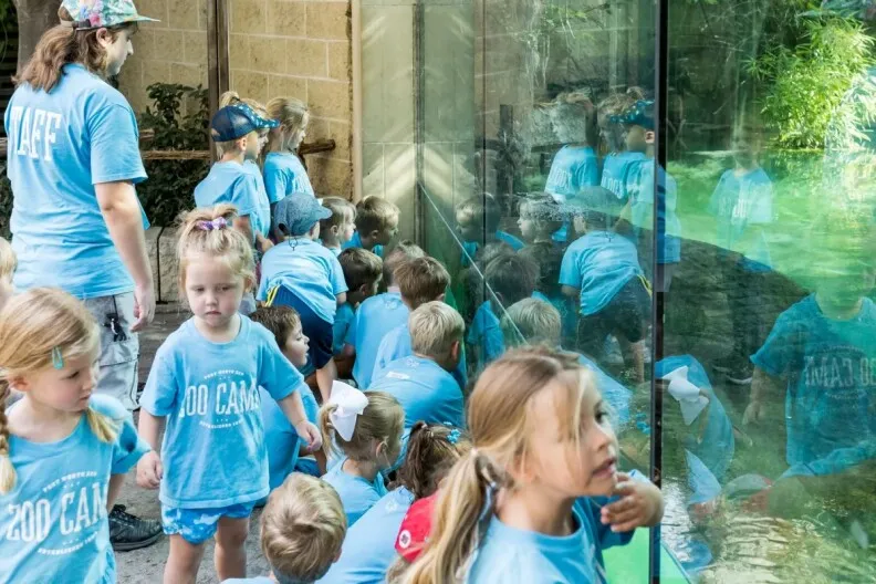 La nature améliore la santé mentale des enfants