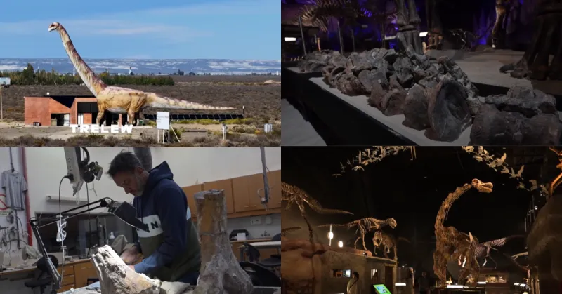 Nouvelle espèce de dinosaure sauropode découverte en Argentine
