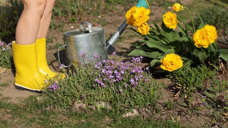 Enquête NZ: Jardins rétrécissent, nudité plus fréquente au Northland
