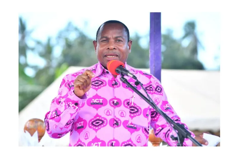 Othman critique la structure de l'Union pour les pertes de revenus de Zanzibar