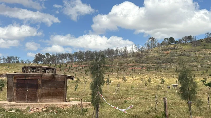 Oujda : la forêt de Sidi Maâfa en pleine réhabilitation