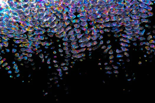 Palisade Bio présente un poster au DDW 2026