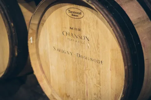 Philippe Troussier : d'entraîneur mondial à vigneron