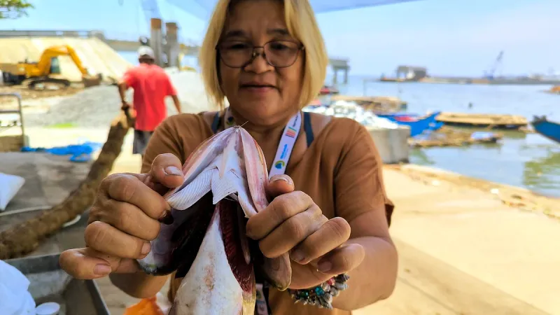 Production de poisson en baisse de 15,3% au T1 2026