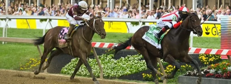 Preakness Stakes 2026 : Sélections d'experts pour 8 courses de groupe