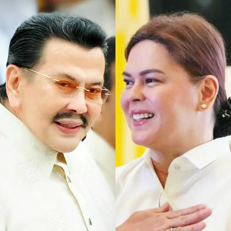 Puno : Poursuivre la 'richesse cachée' de VP Duterte comme l'affaire Estrada
