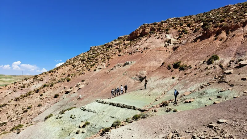 Empreintes rares de lézard fossile découvertes au Maroc