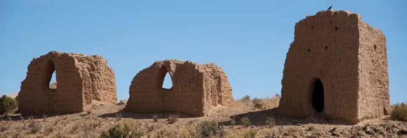 Bactérie de la scarlatine découverte dans une momie vieille de 700 ans