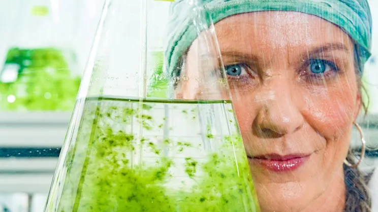 Cuir chevelu d'une scientifique régénéré grâce à ses recherches sur les algues