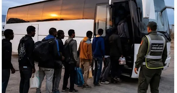 Résultats de recherche : 33 jeunes Comoriens disparus