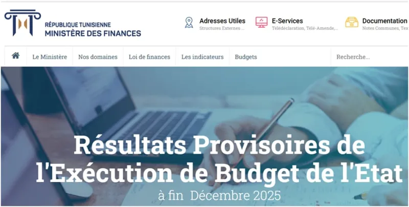 Recettes non fiscales 2025 : Risques pour la stabilité future