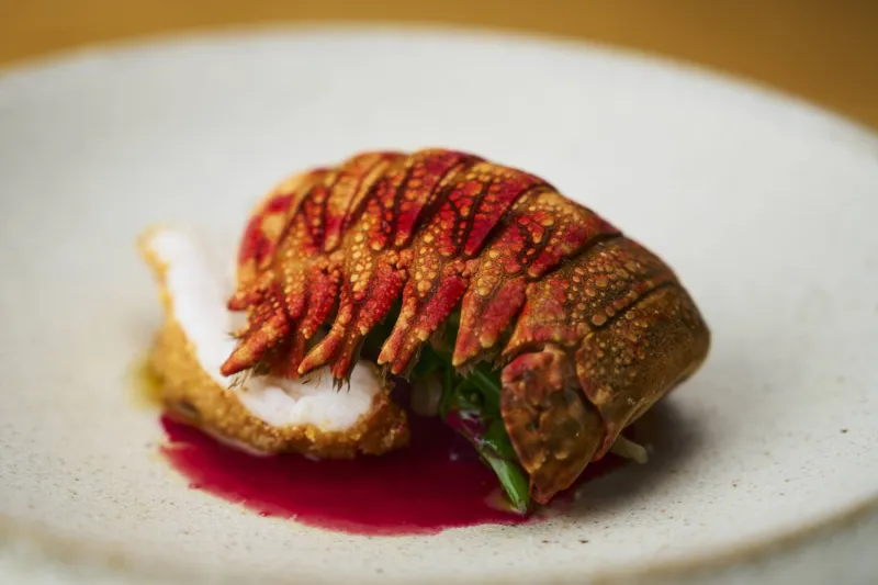 Senti.U : Nouvelle destination culinaire à Kyushu