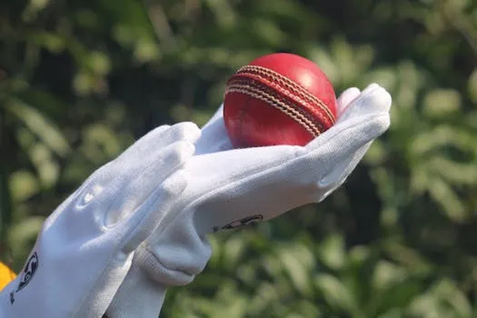 Sreesanth affirme qu'Harbhajan a gagné 1 crore de roupies grâce à Slapgate