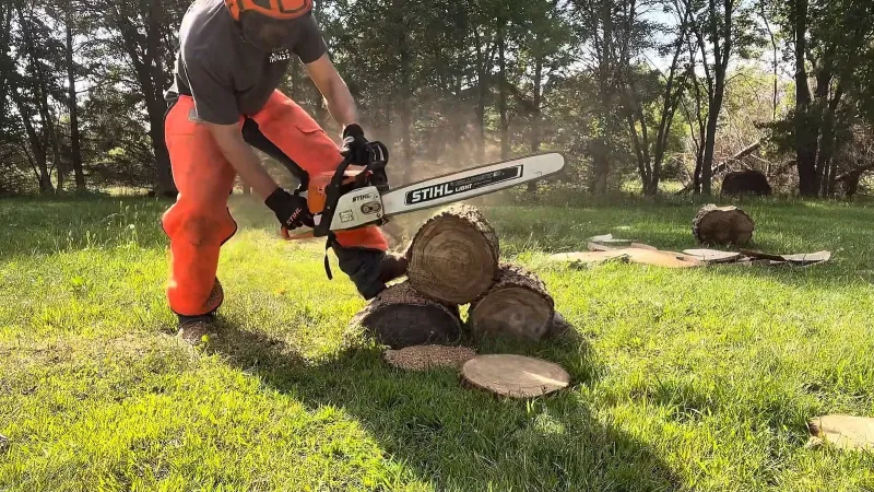 STIHL MS290 vs MS291: Key Differences Explained